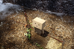 水も滴るいいダンボー