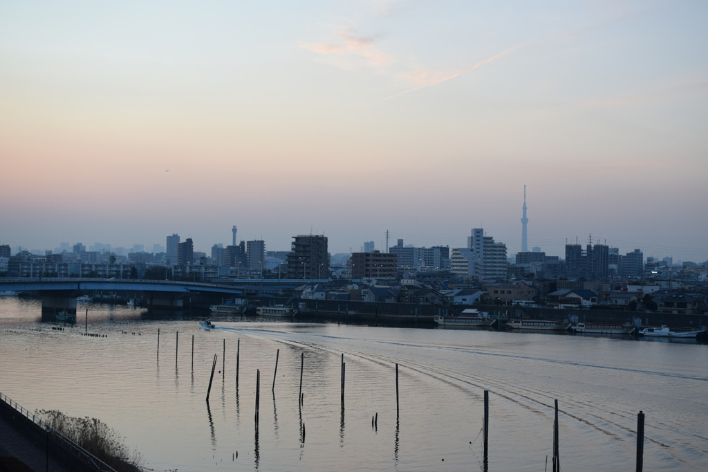 スカイツリーと旧江戸川