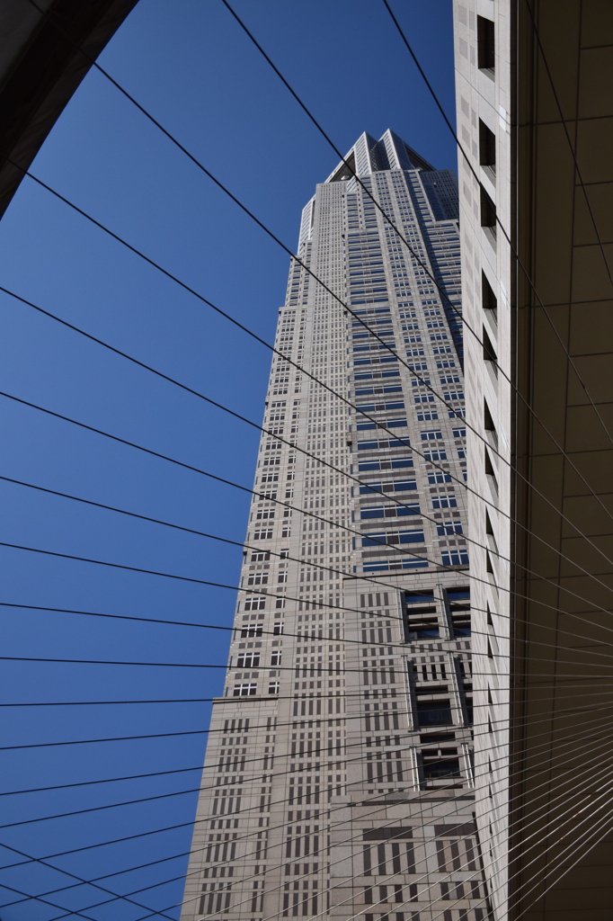 DSC_0164