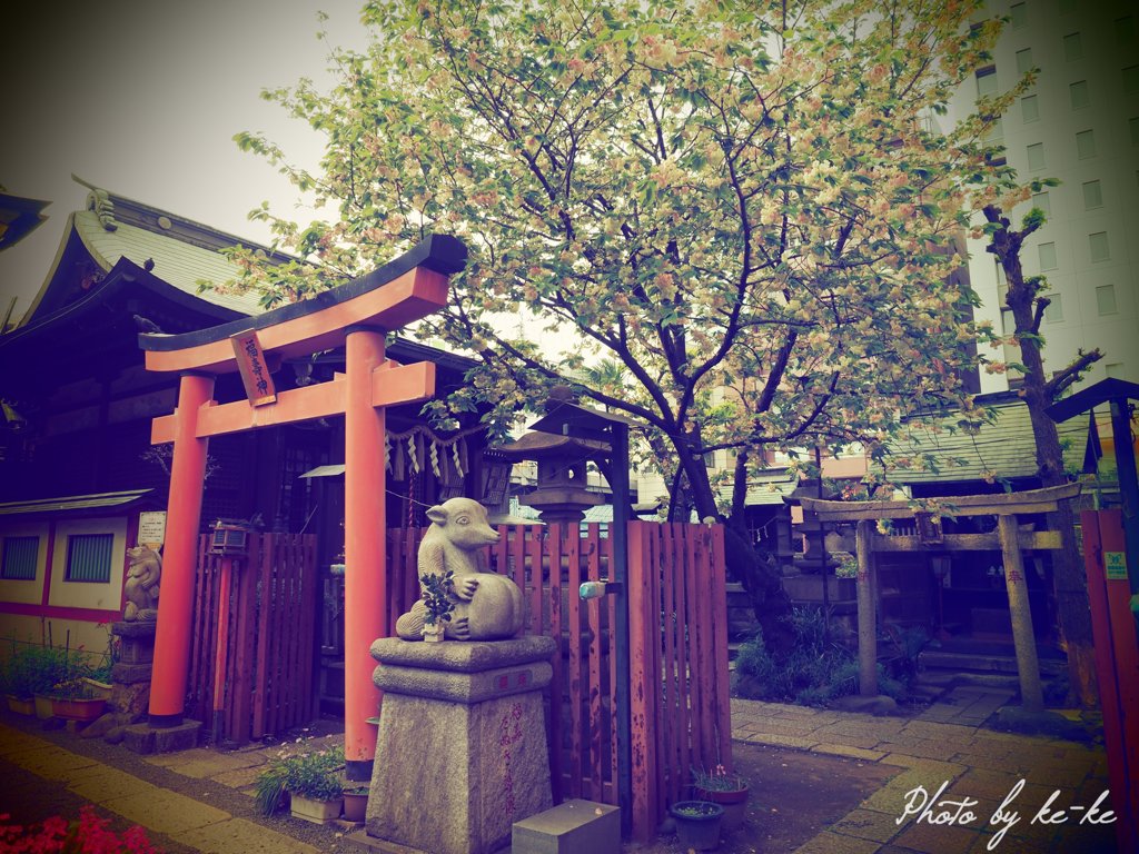 柳森神社