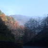 朝霧の峠