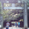 観光