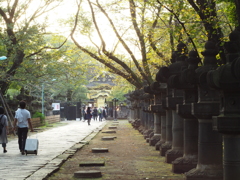 東照宮参道