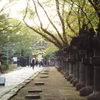 東照宮参道