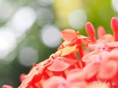 P4230328