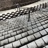 P4230229