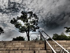 P4230220