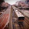 八高線と桜