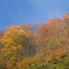 朝霧と紅葉