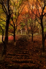 紅葉の階段