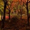 紅葉の階段