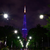 Road to tower of Blue