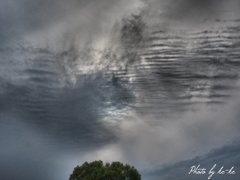 P4230371