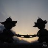 綱引きではないです。