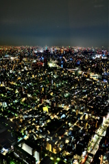 展望回路から見る東京