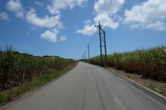 波照間島