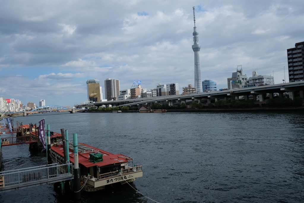 スカイツリーと屋形船(昼)
