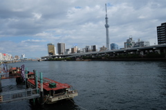 スカイツリーと屋形船(昼)