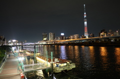 スカイツリーと屋形船(夜)