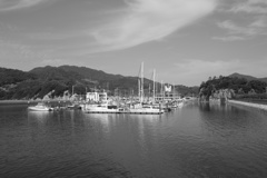 港