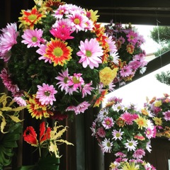 お花