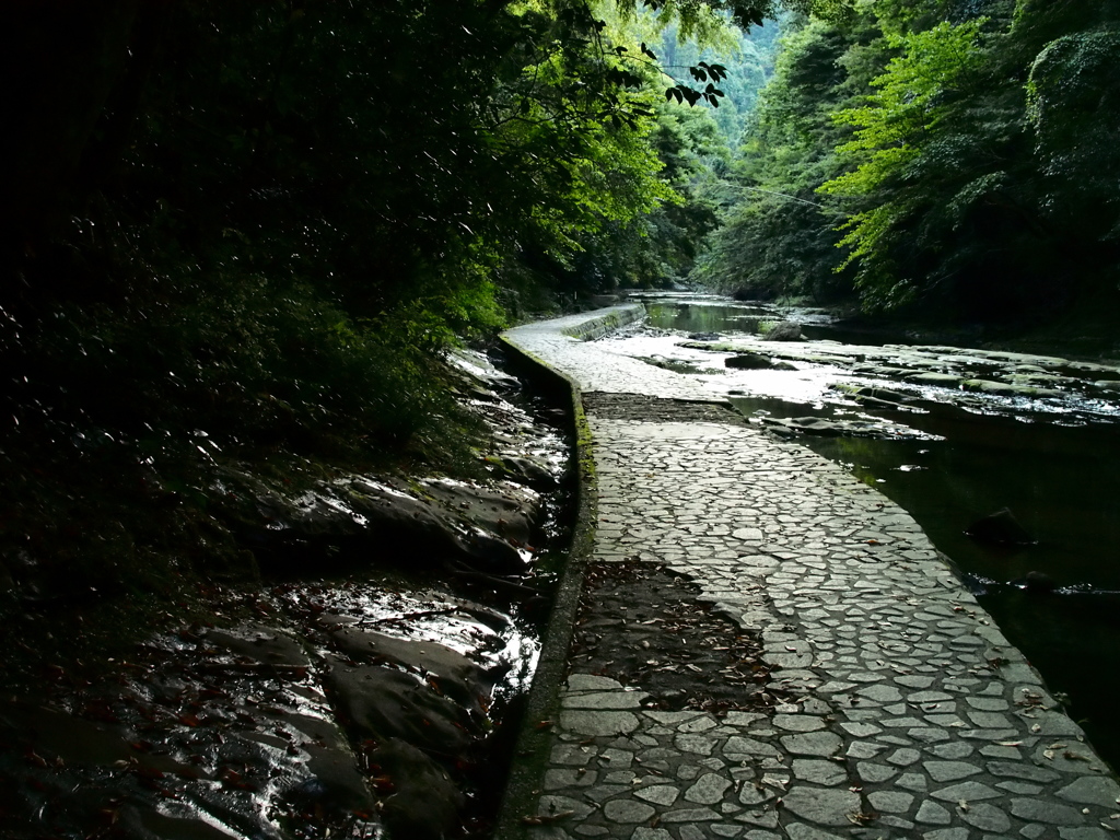 養老渓谷の遊歩道