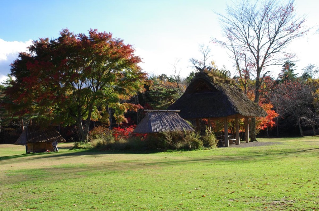 141103　西湖野鳥の森公園#3