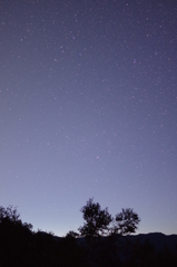 しらびそ　明け方の星空