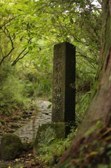 箱根　旧街道　石畳