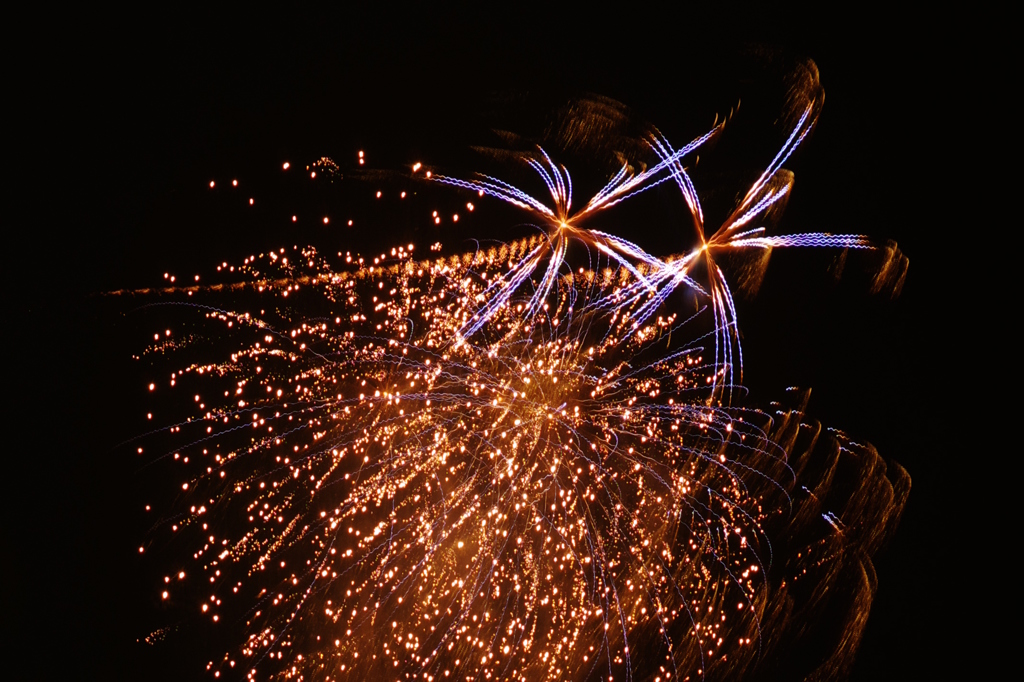 稲穂に止まるとんぼ