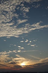 夕暮れとかすれ雲