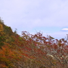 箱根　大涌谷からの富士山