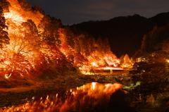 香嵐渓　香積寺　ライトアップ