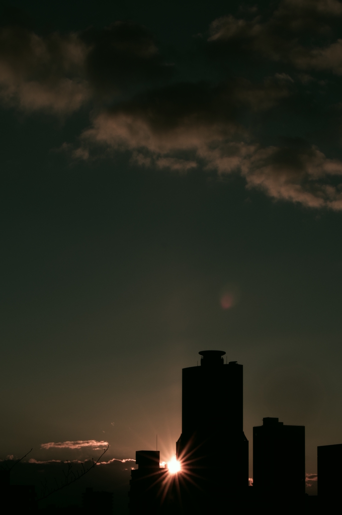 浜松城　2015　初日の出