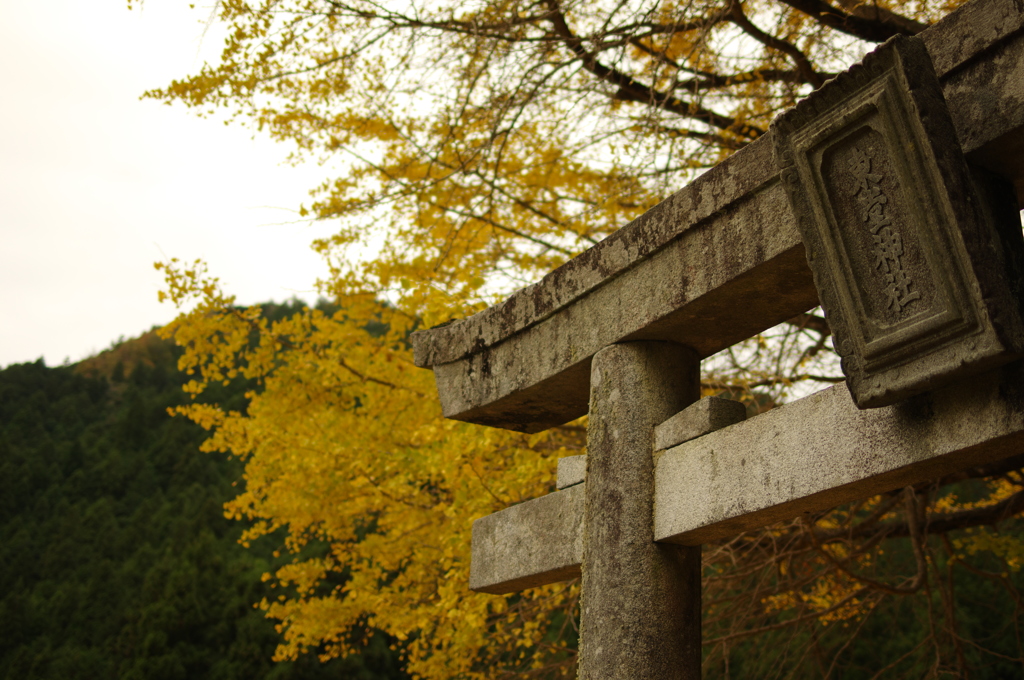 愛知　東堂神社