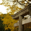 愛知　東堂神社