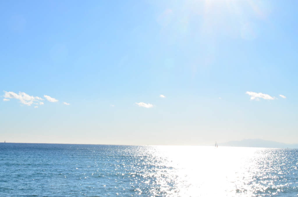 海