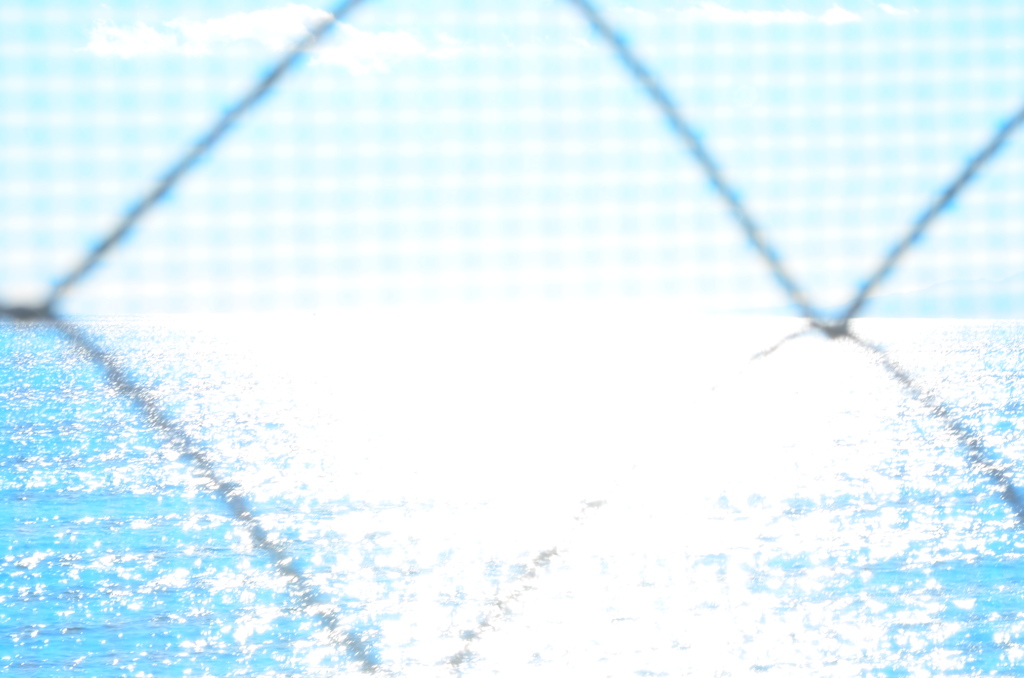 海