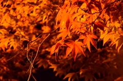 上杉神社