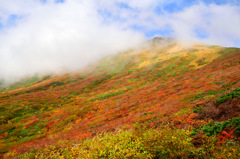 栗駒山～紅葉～