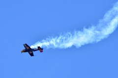 Red Bull Extra 300S (2)