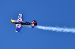 Red Bull Extra 300S (9)