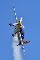 Red Bull Extra 300S (8)