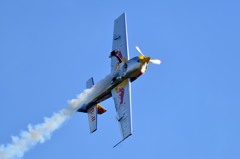 Red Bull Extra 300S (10)