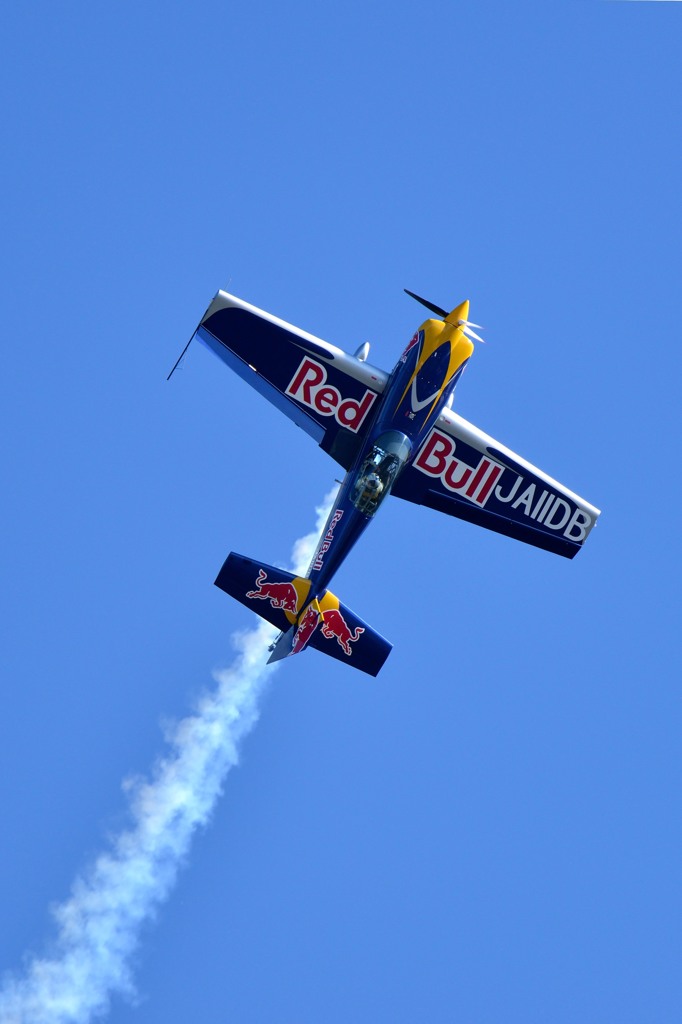 Red Bull Extra 300S (6)