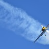 Red Bull Extra 300S (13)