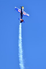Red Bull Extra 300S (1)