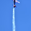 Red Bull Extra 300S (1)