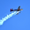 Red Bull Extra 300S (5)