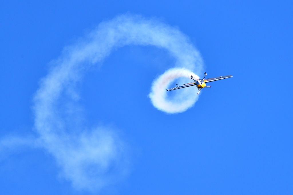 Red Bull Extra 300S (17)